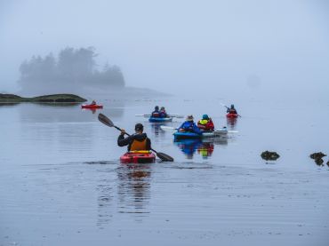 A group kayaking in the mist